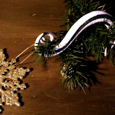 Móc Treo Trang Trí Hình Xoắn Ốc (Spiral Ornament Hanger)