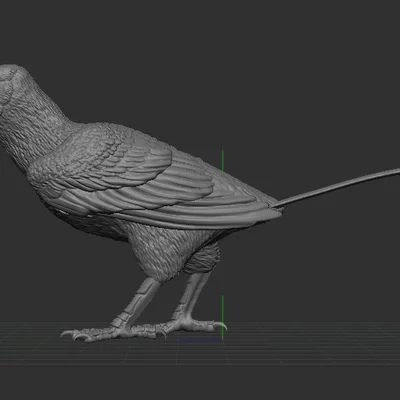 Mô hình Falcaltakely (1:2 scale)