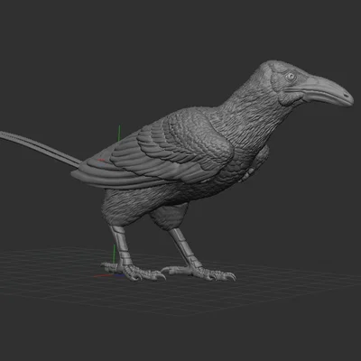 Mô hình Falcaltakely (1:2 scale)