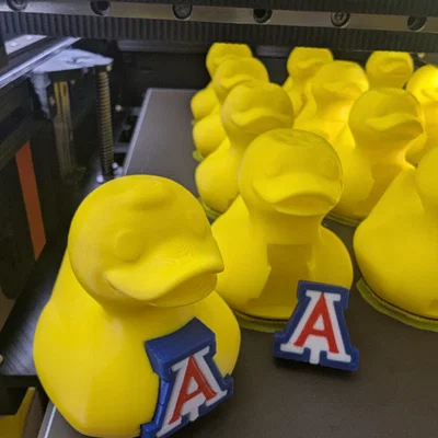 Mô hình chú vịt UofA (UofA Duck)