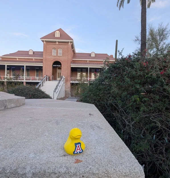 Mô hình chú vịt UofA (UofA Duck) - Image 2