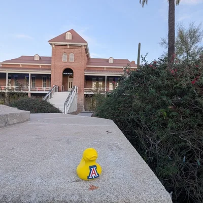 Mô hình chú vịt UofA (UofA Duck)