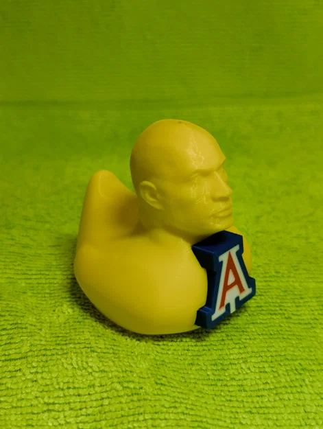 Mô hình chú vịt The Rock UofA độc đáo - File in 3D sưu tầm - Image 1