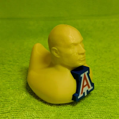 Mô hình chú vịt The Rock UofA độc đáo - File in 3D sưu tầm