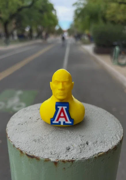 Mô hình chú vịt The Rock UofA độc đáo - File in 3D sưu tầm - Image 2