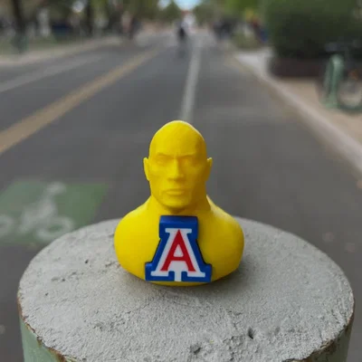 Mô hình chú vịt The Rock UofA độc đáo - File in 3D sưu tầm