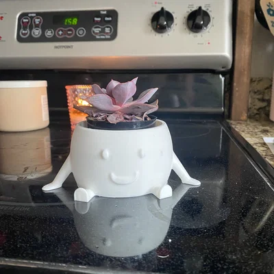 Happy Booty Planter - Chậu cây trang trí 3D siêu đáng yêu