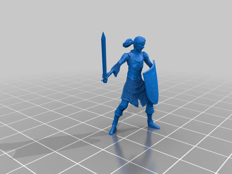 Mô hình Blade Mercenary cho D&D và Pathfinder - Image 2