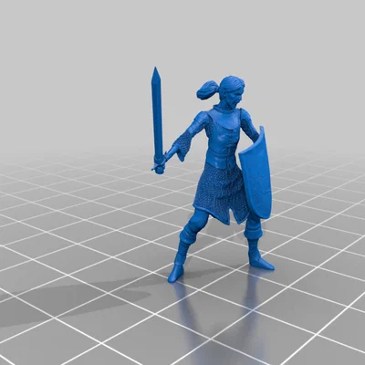 Mô hình Blade Mercenary cho D&D và Pathfinder