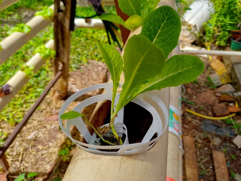 Bộ chuyển đổi (adapter) hình nón cho hệ thống thủy canh - Image 1