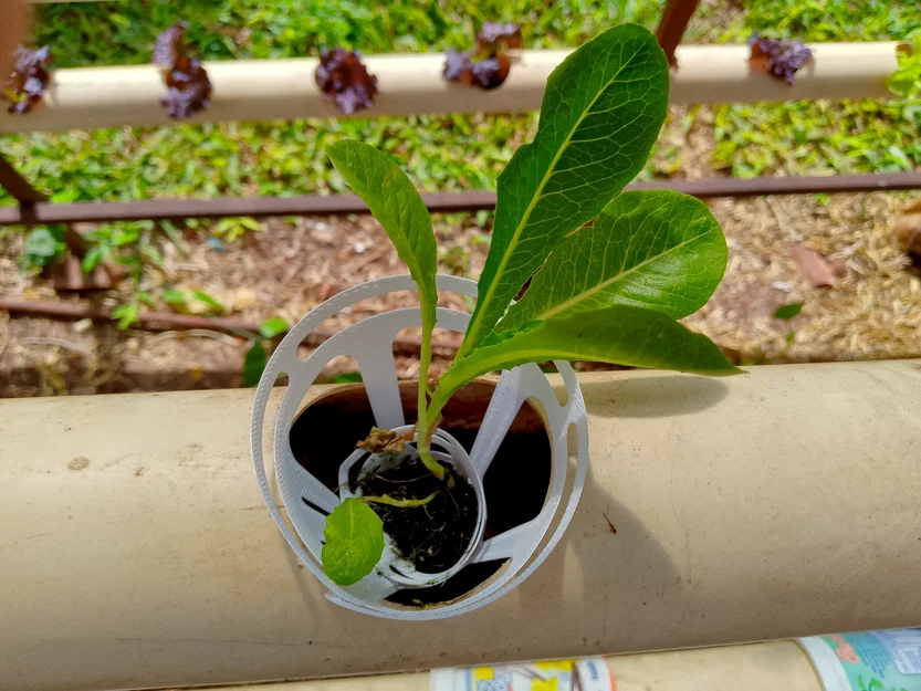 Bộ chuyển đổi (adapter) hình nón cho hệ thống thủy canh - Image 2