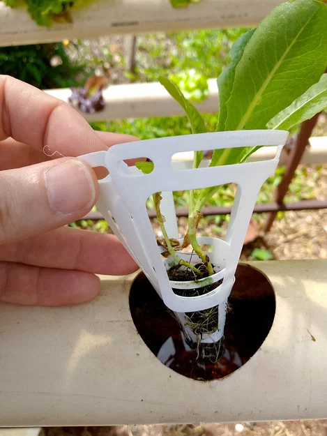 Bộ chuyển đổi (adapter) hình nón cho hệ thống thủy canh - Image 3