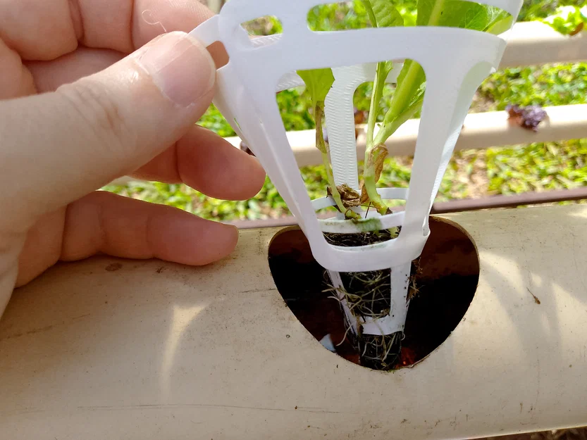 Bộ chuyển đổi (adapter) hình nón cho hệ thống thủy canh - Image 4