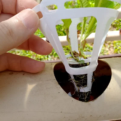 Bộ chuyển đổi (adapter) hình nón cho hệ thống thủy canh