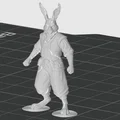 Mô hình Harengon Brawler (Monk) 3D cho D&D và Tabletop Game - Thumbnail 3