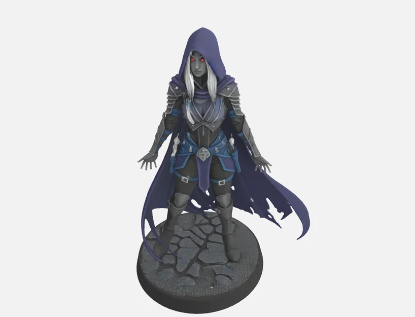 Mô hình Nữ sát thủ Drow - Female Drow Assassin cho DnD mini - Image 1