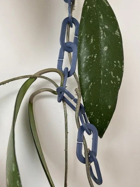 Giàn leo hình xích cho cây cảnh trong nhà - Image 3