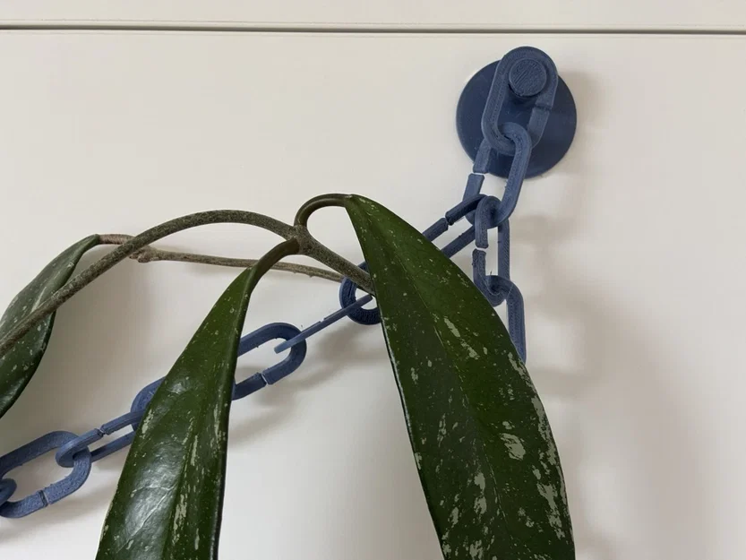 Giàn leo hình xích cho cây cảnh trong nhà - Image 4