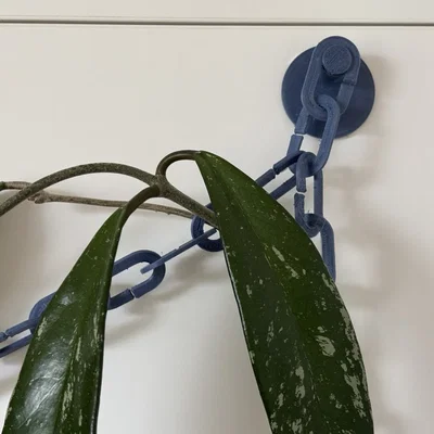 Giàn leo hình xích cho cây cảnh trong nhà