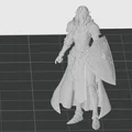 Mô hình 3D nữ chiến binh Elf Paladin cho DnD và TTRPG - Thumbnail 2