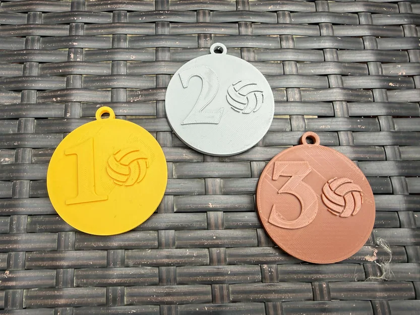 Huy chương dành cho cầu thủ bóng đá/bóng chuyền xuất sắc nhất - Image 2