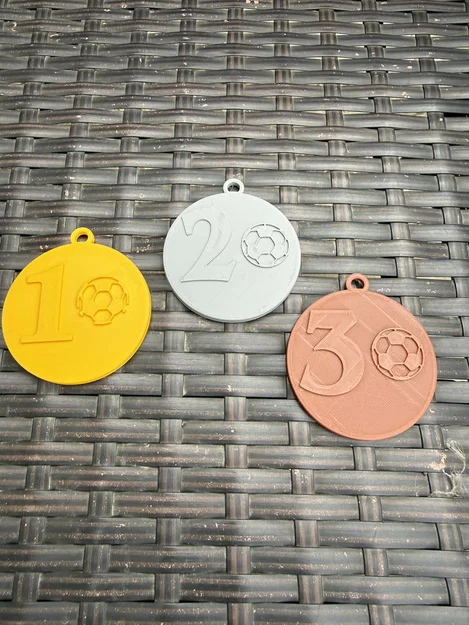 Huy chương dành cho cầu thủ bóng đá/bóng chuyền xuất sắc nhất - Image 3