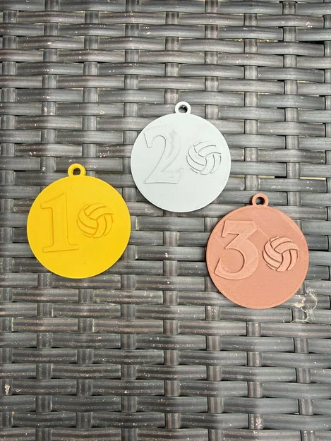 Huy chương dành cho cầu thủ bóng đá/bóng chuyền xuất sắc nhất - Image 4