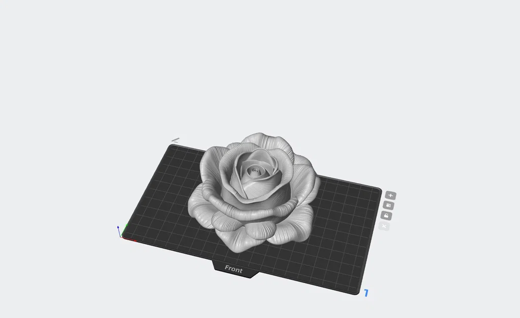 Mô hình 3D hoa hồng có vân (rosa con textura) trang trí tinh tế - Image 1