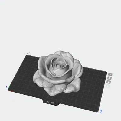 Mô hình 3D hoa hồng có vân (rosa con textura) trang trí tinh tế