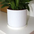 Đĩa lót chậu cây (Planter Dish / Plate) - Thumbnail 2