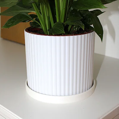 Đĩa lót chậu cây (Planter Dish / Plate)