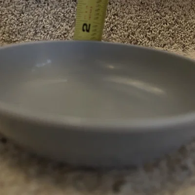 Nguyên mẫu bộ chia thức ăn cho Petsafe Simply Feed