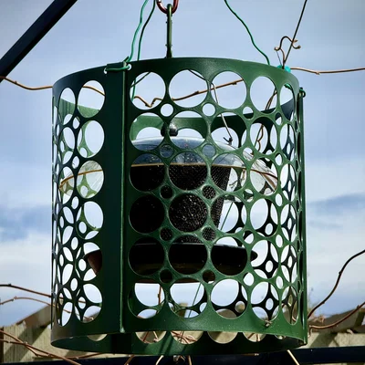 Khung bảo vệ ngăn chim lớn (Bully Birdy Barrier)