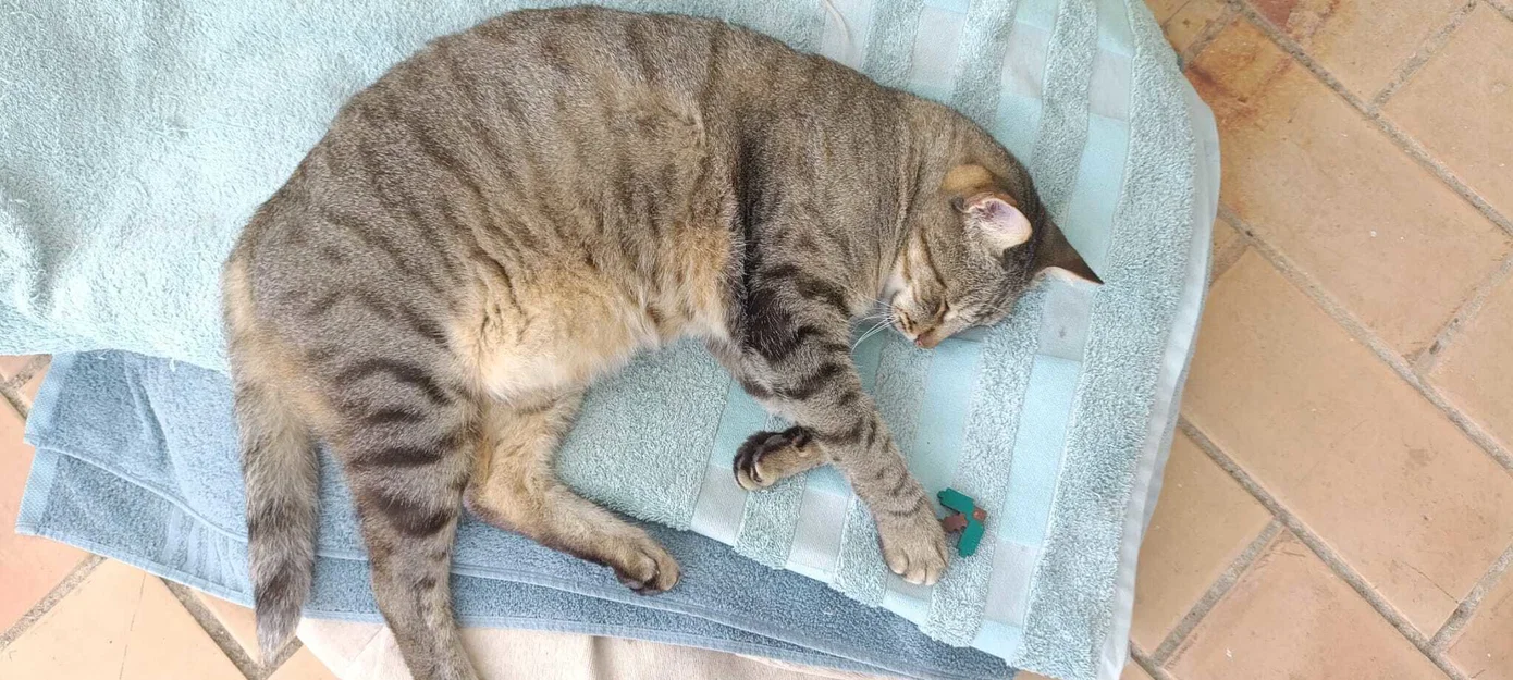 Mô hình Cúp Minecraft (Pickaxe) độc đáo in 3D - Image 1