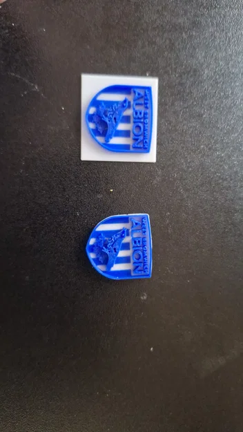 Mô hình logo câu lạc bộ West Bromwich Albion (WBA) in 3D - Image 3