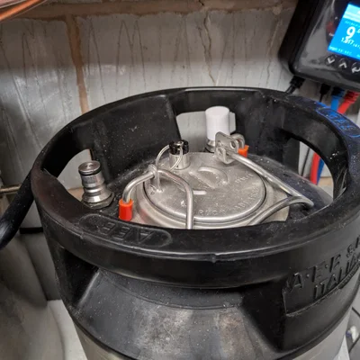 Nắp đậy chống bụi cho đầu nối Ball Lock trên thùng keg