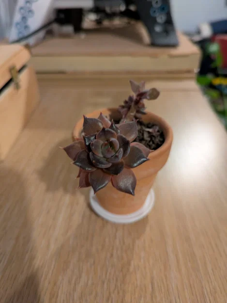 Đế lót chậu cây có chân đế - Image 2