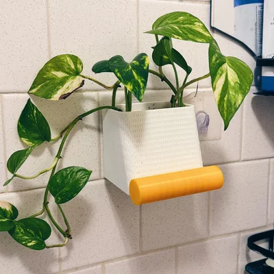 Chậu cây 3D tích hợp giá đỡ điện thoại cho phòng tắm