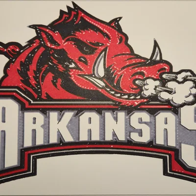 Vẽ logo Arkansas Razorback bằng máy in 3D và Sharpie
