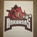 Vẽ logo Arkansas Razorback bằng máy in 3D và Sharpie - Thumbnail 3
