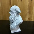 Tượng bán thân Lev (Léon) Nikolaïevitch Tolstoï - Thumbnail 3