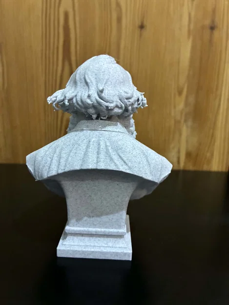 Tượng bán thân Lev (Léon) Nikolaïevitch Tolstoï - Image 4