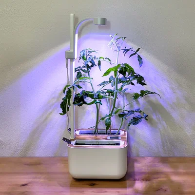 Bộ nối dài cho thanh đèn Véritable Botaneo