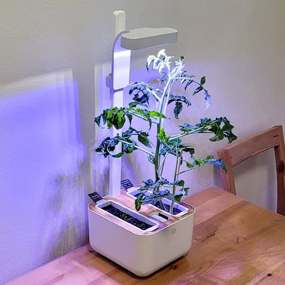 Bộ nối dài cho thanh đèn Véritable Botaneo