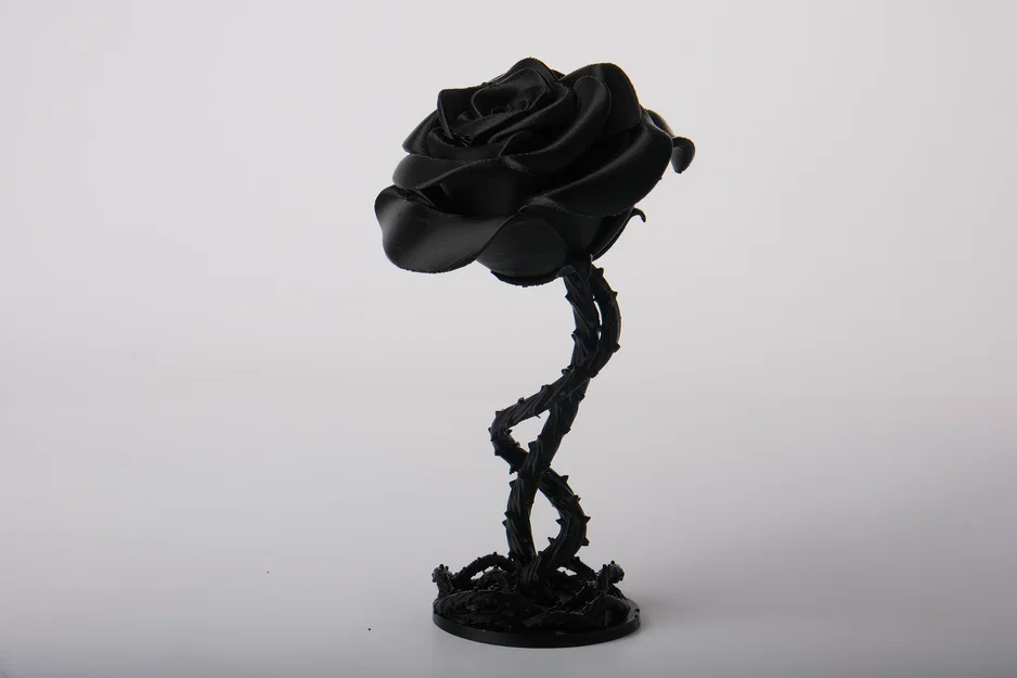 Hoa Hồng Với Thân Dây Gai - Image 2