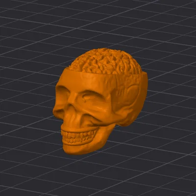 Đầu lâu Dummy 13 (Dummy 13 Skull Head) - Phụ kiện thay thế độc đáo