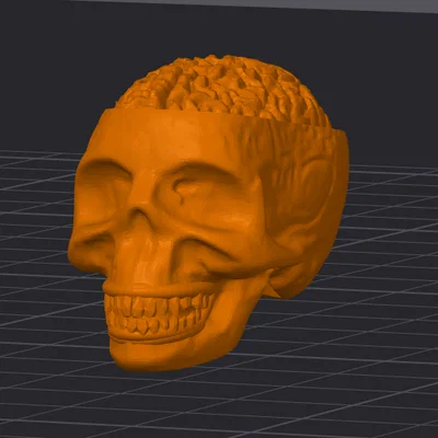 Đầu lâu Dummy 13 (Dummy 13 Skull Head) - Phụ kiện thay thế độc đáo