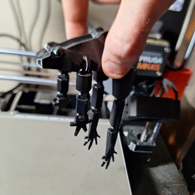 Mô hình ếch khớp nối linh hoạt (Flexible Articulated Frog)