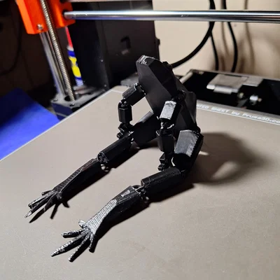 Mô hình ếch khớp nối linh hoạt (Flexible Articulated Frog)
