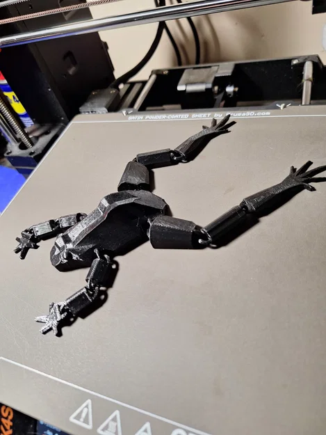 Mô hình ếch khớp nối linh hoạt (Flexible Articulated Frog) - Image 3